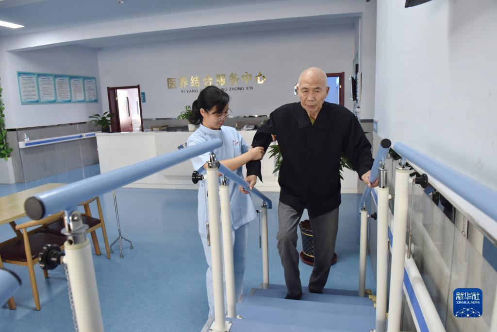 免费送500大白菜